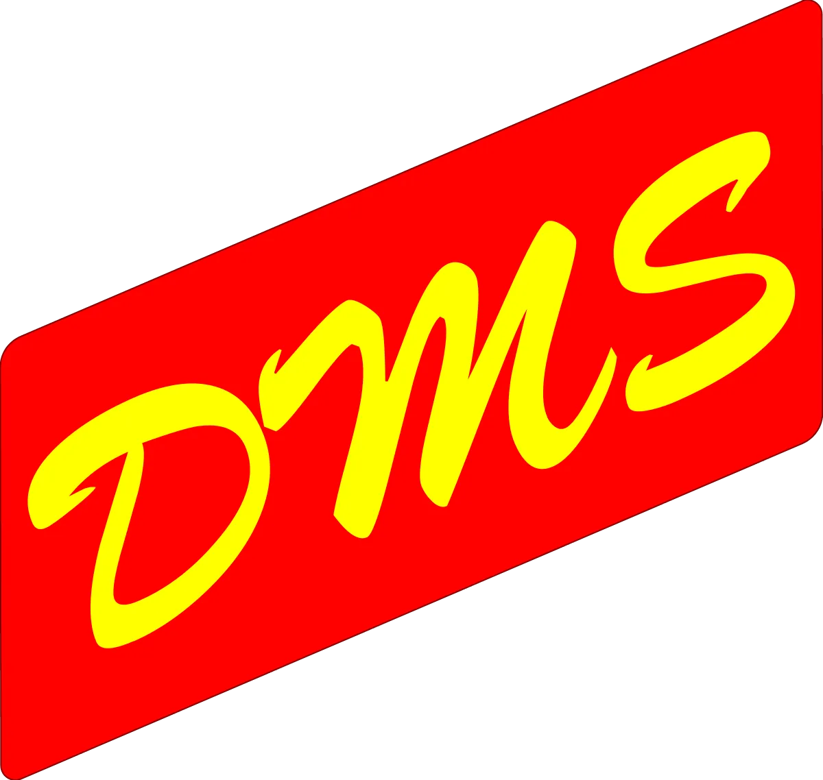 dms24.ch logo